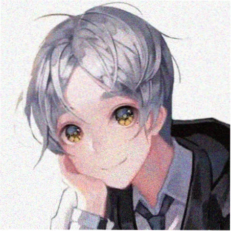 追剧小懒猫